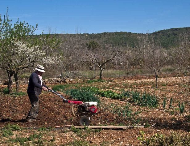 Agricultor / Imagen de recurso