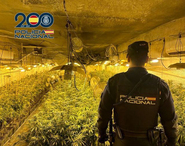 Ilusionismo: Ocultan una plantación de marihuana en una construcción que aparentaba ser un gallinero