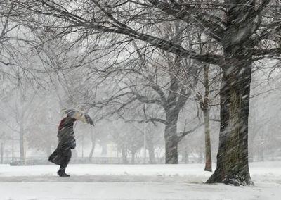 Llega el peor día del temporal: Toledo y Guadalajara en alerta por viento y nieve