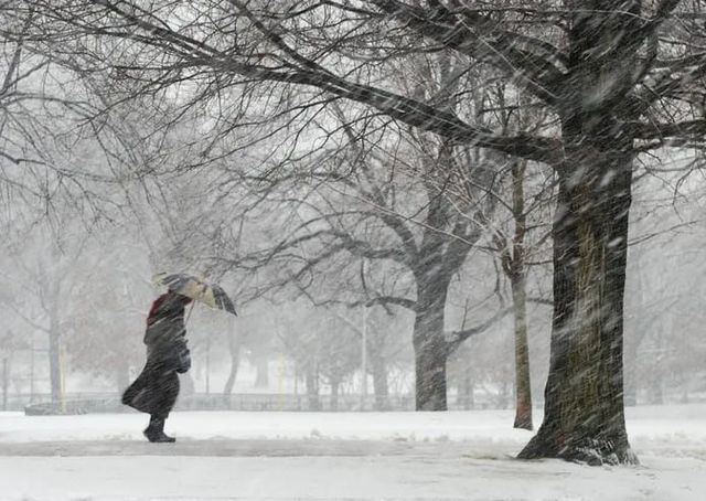 Temporal de nieve / Foto: Pixabay 