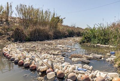 Las impactantes imágenes del Segura convertido en un río de plástico