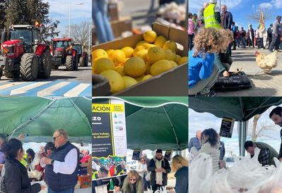 Toledo: Multitudinario reparto de alimentos para agradecer el apoyo a los agricultores