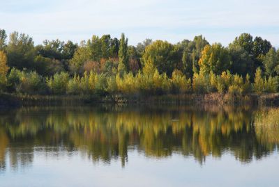 La Naturaleza invisible