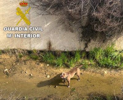 La Guardia Civil salva a un perro atrapado en un canal de aguas