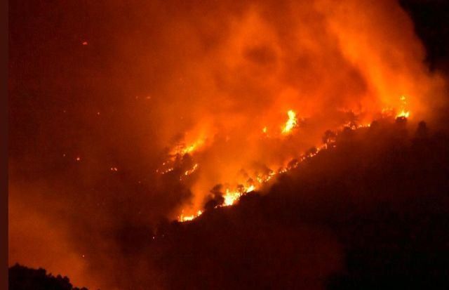 Incendio forestal - Imagen de archivo 