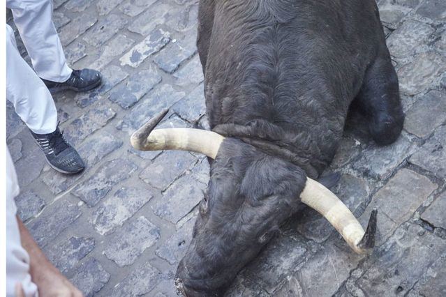 Imagen de archivo de un toro en un encierro - EDUARDO SANZ - EUROPA PRESS - ARCHIVO