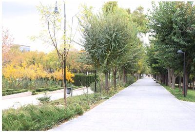 Dos heridos, entre ellos un niño de 9 años, tras una pelea multitudinaria en el parque de las Tres Culturas