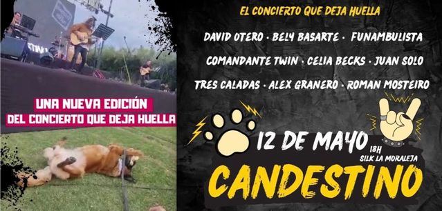 Candestino, el festival donde tu perro te lleva a disfrutar de la mejor música