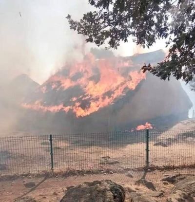 Un devastador incendio amenaza con arrasar más de 30 hectáreas en El Raso