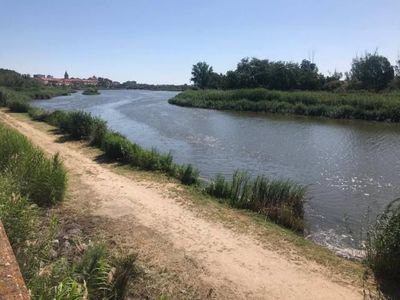 Adjudicado el contrato de depuración de aguas residuales de Toledo