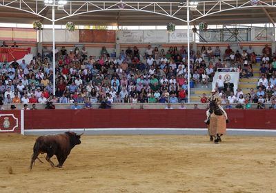 Villaseca de la Sagra, referente por vigésimo cuarta vez consecutiva del mundo taurino