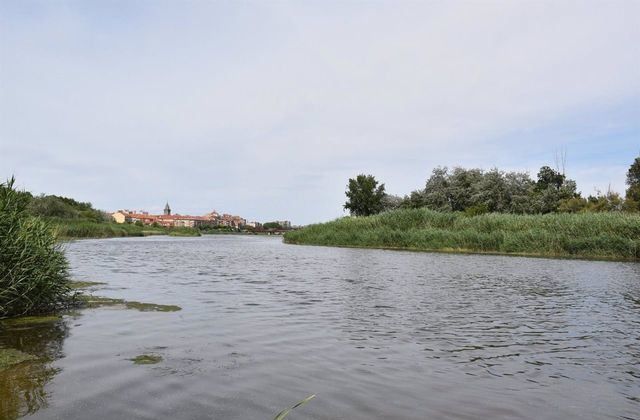 Talavera lucha contra los mosquitos: se amplían a cuatro los tratamientos larvicidas