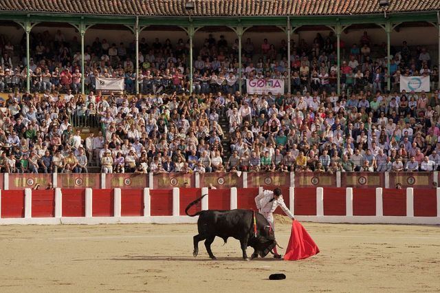 Tomás Rufo en Talavera 