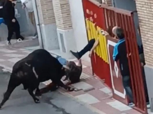 Escalofriantes imágenes de la cogida de un toro a un hombre en Portillo de Toledo