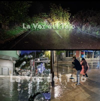 La DANA deja calles anegadas y árboles caídos en Talavera y comarca