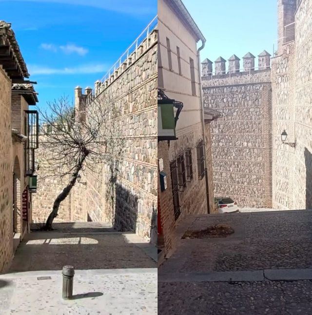 Denuncian la tala de otro árbol histórico de la ciudad