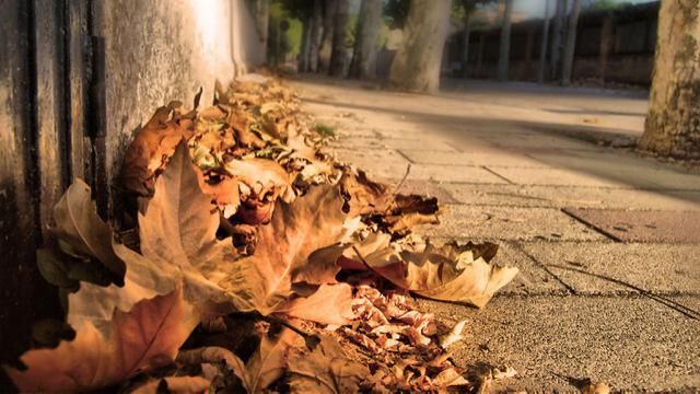 Viento y ambiente más fresco para recibir octubre