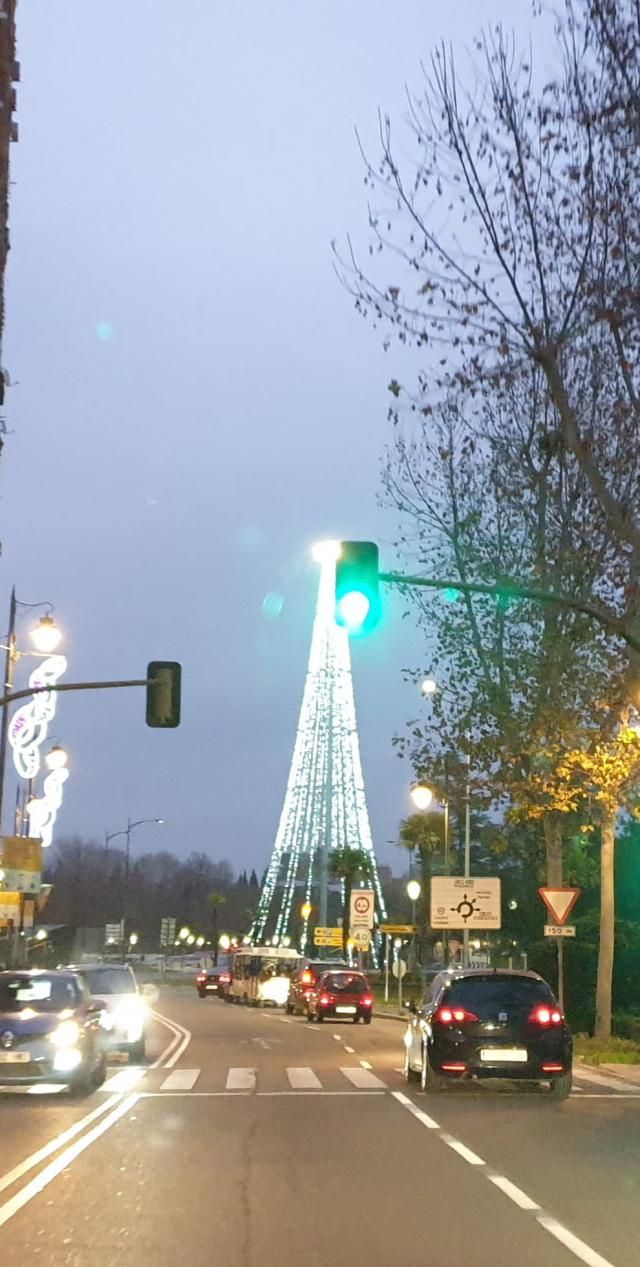 VÍDEO | Se desveló el misterio: un árbol navideño gigante ilumina Talavera