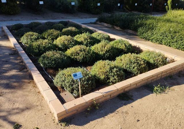 Más de 130 colegios en Toledo se suman a la revolución verde con huertos escolares ecológicos