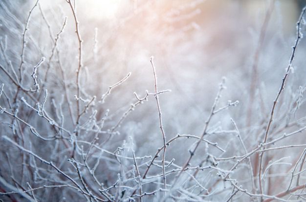 Heladas débiles y temperaturas extremas: Así será el día en Castilla-La Mancha