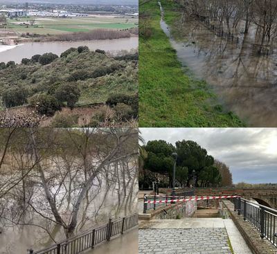 Riesgo inundaciones: Se mantienen el cierre de siete colegios, institutos y la UCLM en Talavera