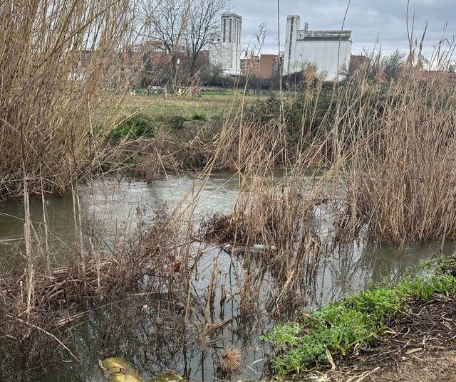 Exigen la limpieza del arroyo de La Portiña para prevenir inundaciones en Talavera