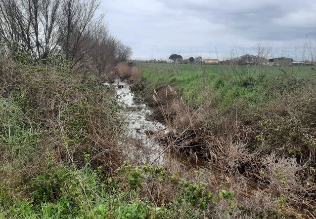 Pese al anuncio del Ayuntamiento, el arroyo que baja de La Portiña, El Barrago y el Baladiel siguen llenos de maleza y sin desbrozar