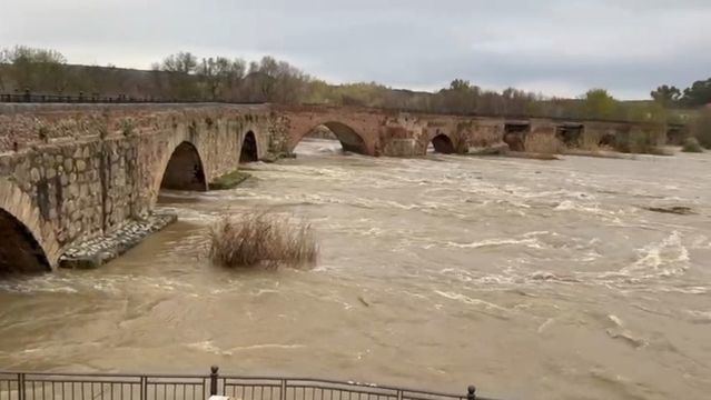 Río Tajo a su paso por Talavera  /Caudal jueves