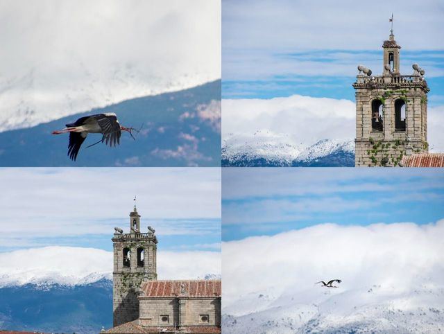 Navamorcuende y la Sierra de Gredos