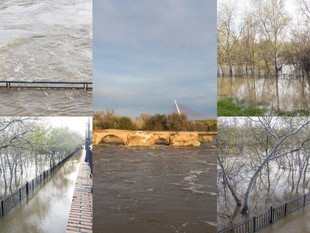 Río Tajo a su paso por Talavera de la Reina (Toledo)