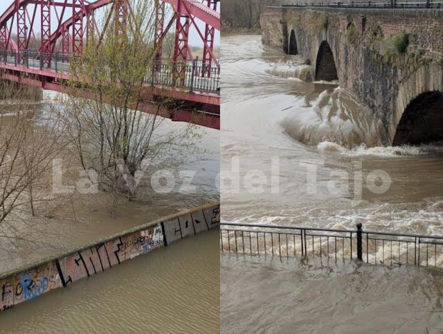 Río Tajo a su paso por Talavera 