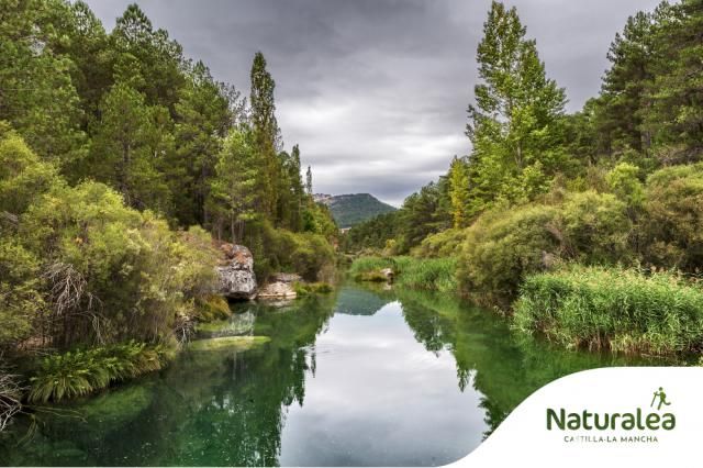 Descubre el Parque Natural del Alto Tajo con estas rutas para toda la familia