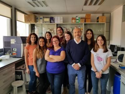 Investigadores de UCLM y del CHUA demuestran que la combinación de fármacos mejora el tratamiento del cáncer de ovario