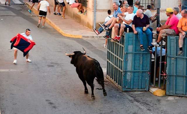 Herido leve un septuagenario corneado por un toro durante unos encierros