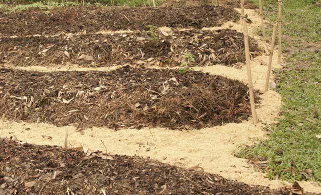 Un agricultor halla restos humanos mientras araba un bancal