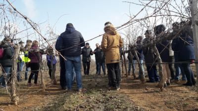 CORONAVIRUS | Un ¡bravo! para las empresas y cooperativas agroalimentarias