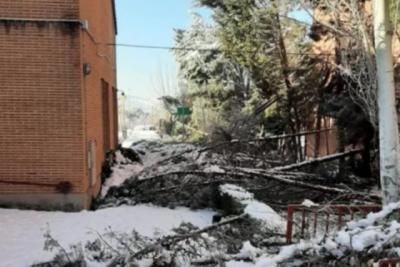 URGENTE | El Gobierno declara la zona catastrófica para los territorios afectados por el temporal