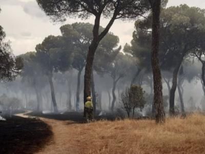 Controlado el incendio de El Tiemblo después de arrasar unas 800 hectáreas