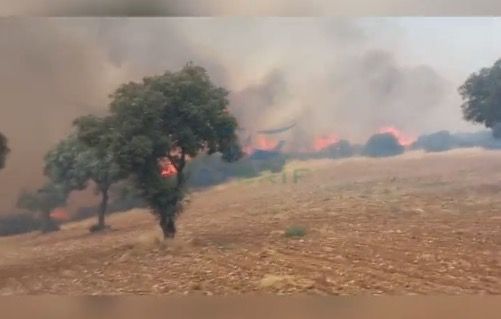 El fuego en Toledo sigue avanzando: el viento no ayuda y la BRIF de La Iglesuela se une a los trabajos