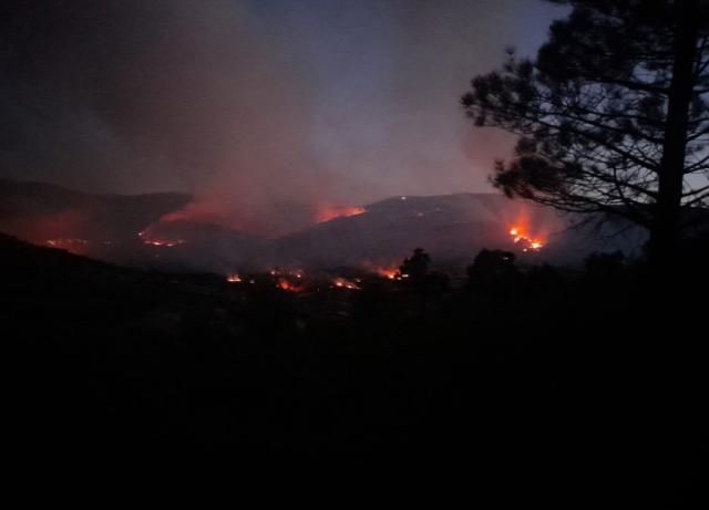 Investigan el incendio de Sevilleja de la Jara: se originó en 2 focos y no se descarta ninguna hipótesis