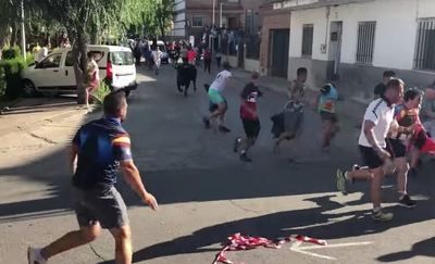 Gran susto en un pueblo de Toledo tras escaparse un toro