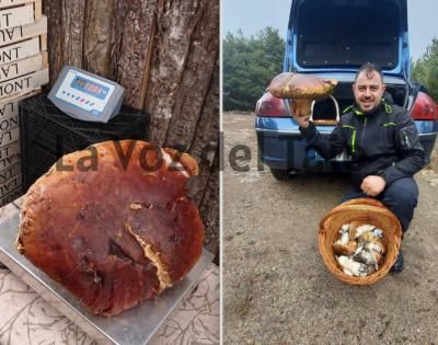 ¡Impresionante! Un vecino de Talavera encuentra un boletus de casi 4 kilos