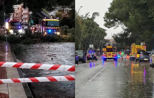 Talavera: árboles caídos en los Jardines del Prado y un colegio inundado