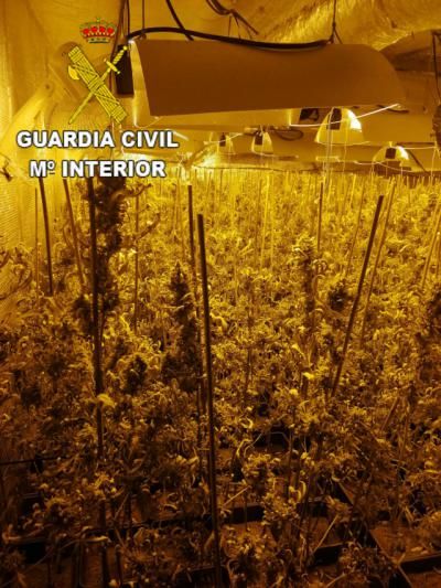 MARIHUANA | Un detenido por cultivo de estupefacientes y defraudación de fluido eléctrico en un pueblo de Toledo