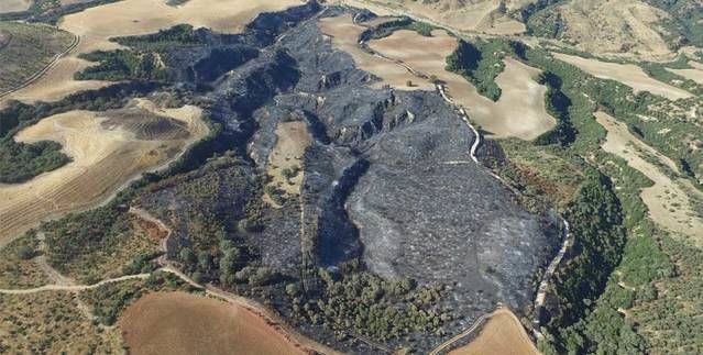 Más de 60 hectáreas fueron calcinadas por el fuego en la finca 'El Tejadillo'.