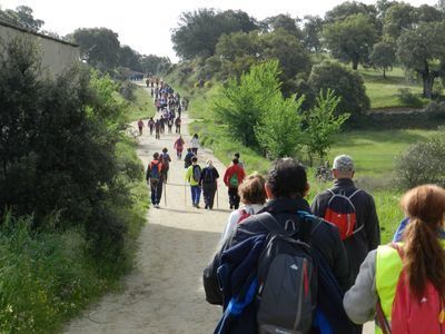 Unas 2.000 personas están inscritas para el IV Tramo del Camino de Guadalupe