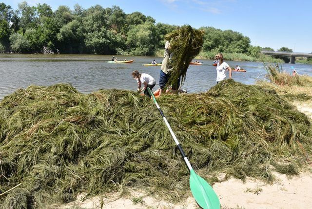 TALAVERA | Más de 600 kilos de algas retiradas y una tonelada de basura recogida (fotos)