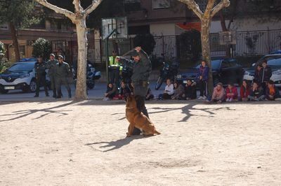 Exhibición de la Guardia Civil en el Colegio Rafael Morales