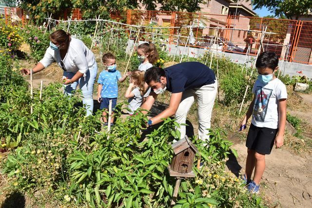 TALAVERA | La alcaldesa participa en la recolección de alimentos del CEIP Bartolomé Nicolau