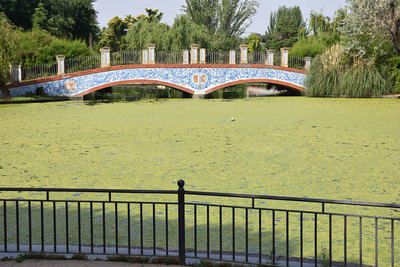 La suciedad se adueña del estanque de los patos y el lago de La Alameda